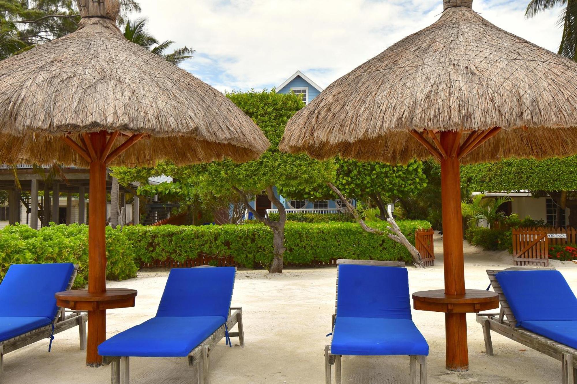 Palmetto Garden Cottage Caye Caulker Zewnętrze zdjęcie