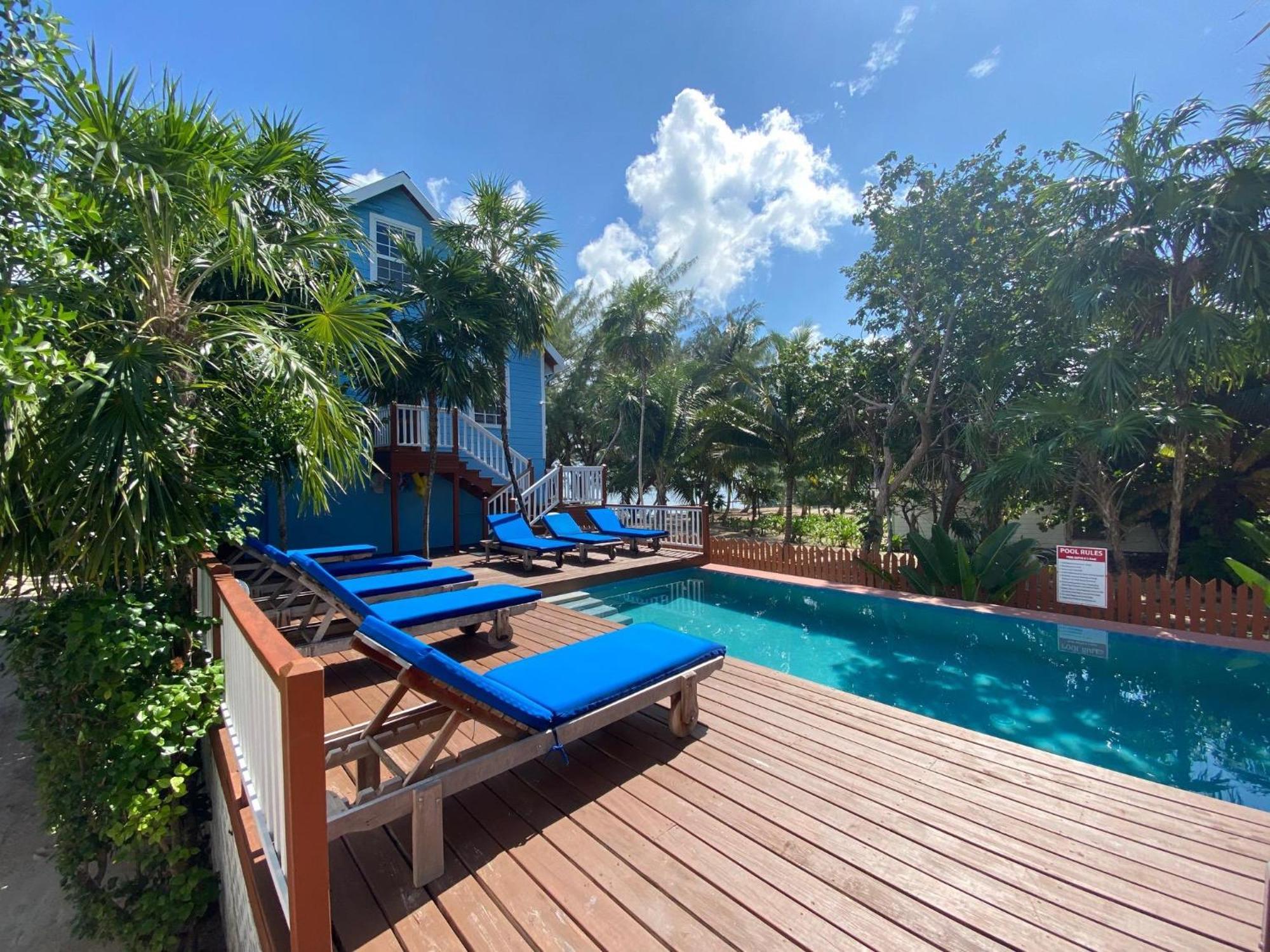 Palmetto Garden Cottage Caye Caulker Zewnętrze zdjęcie