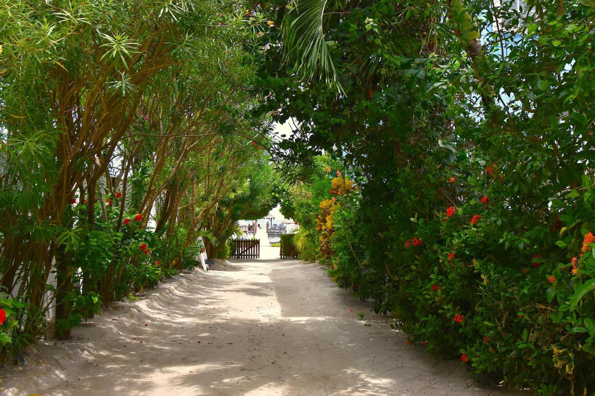 Palmetto Garden Cottage Caye Caulker Zewnętrze zdjęcie
